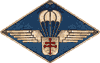 1re compagnie de chasseurs parachutistes