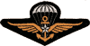 Commando Parachutiste de l'Aéronavale - Brevet Parachutiste de la Marine