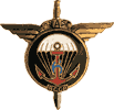 6e Bataillon Colonial de Commandos Parachutistes